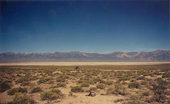 #1: T. McGee Bear facing east at the point with the Toquima Range in the background.