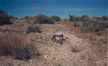 #1: T. McGee Bear facing west at the point.  NV 361 is over the hill behind him.