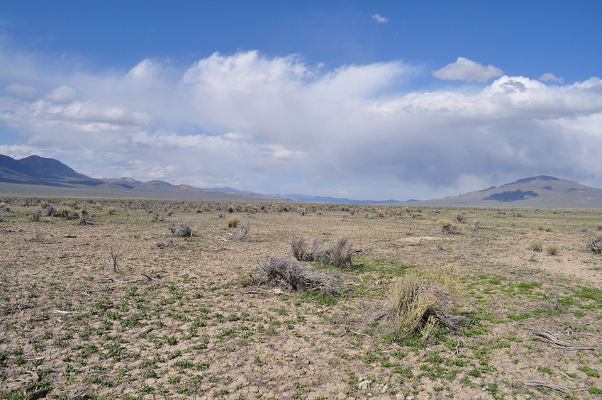 View North (up Carico Lake Valley, with the Shoshone Range on the left, and Red Mountain on the right)