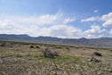 #5: View West (towards the Shoshone Range)