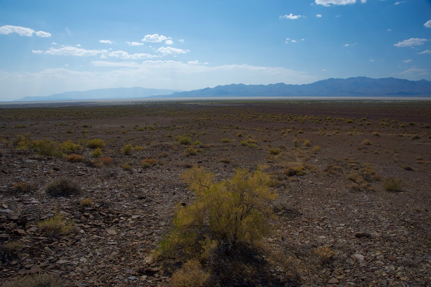 View West (across the dry lake bed of the Black Rock Desert)