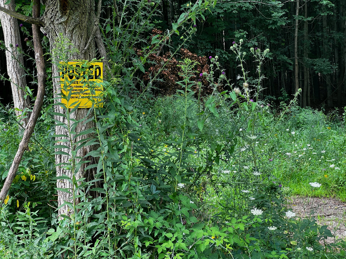 The edge of the forest where the confluence point lies is now signposted with “no trespassing” signs