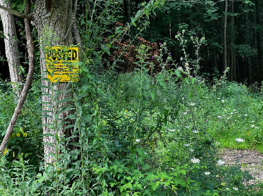 #1: The edge of the forest where the confluence point lies is now signposted with “no trespassing” signs