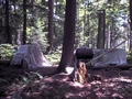 #5: Possibly illegal wilderness camp a half mile northwest