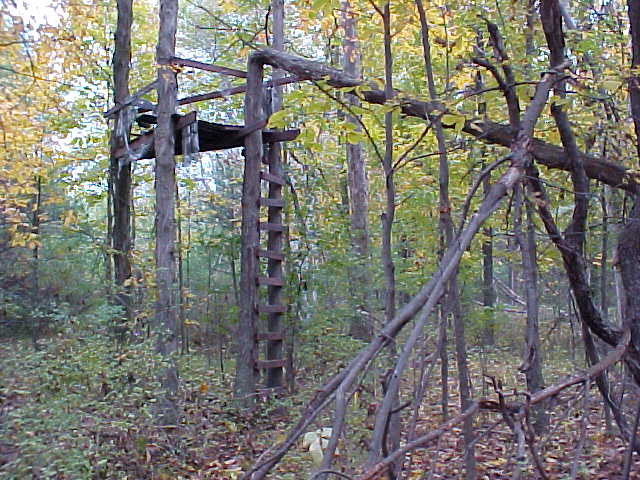 This hunter's treestand is in the woods nearby.