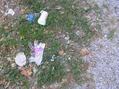 #5: Ground cover at confluence--grass, stones, pavement, and trash.