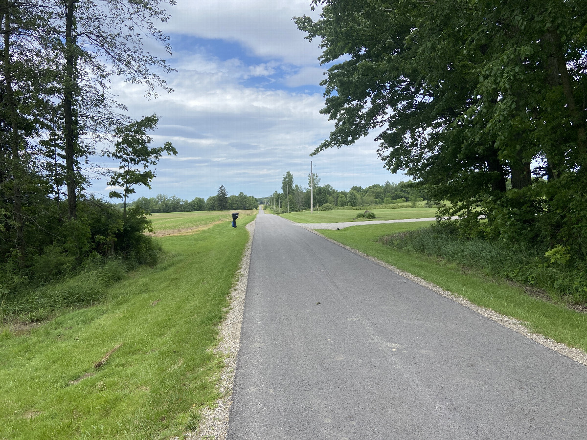 Nearest road to the confluence point, looking north.  