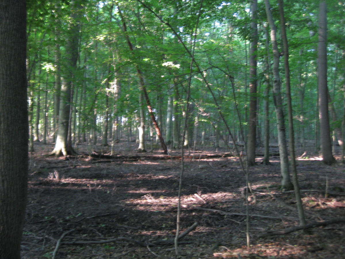 View to the south