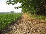 #8: Hike in along the field (looking south from the corner)