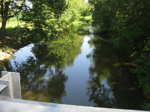 #1: View NNW to the confluence in the middle of the creek roughly 25 feet away