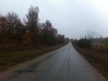 #8: Wet and Lonely Road:  View from 8 meters to the west of the confluence, looking north.