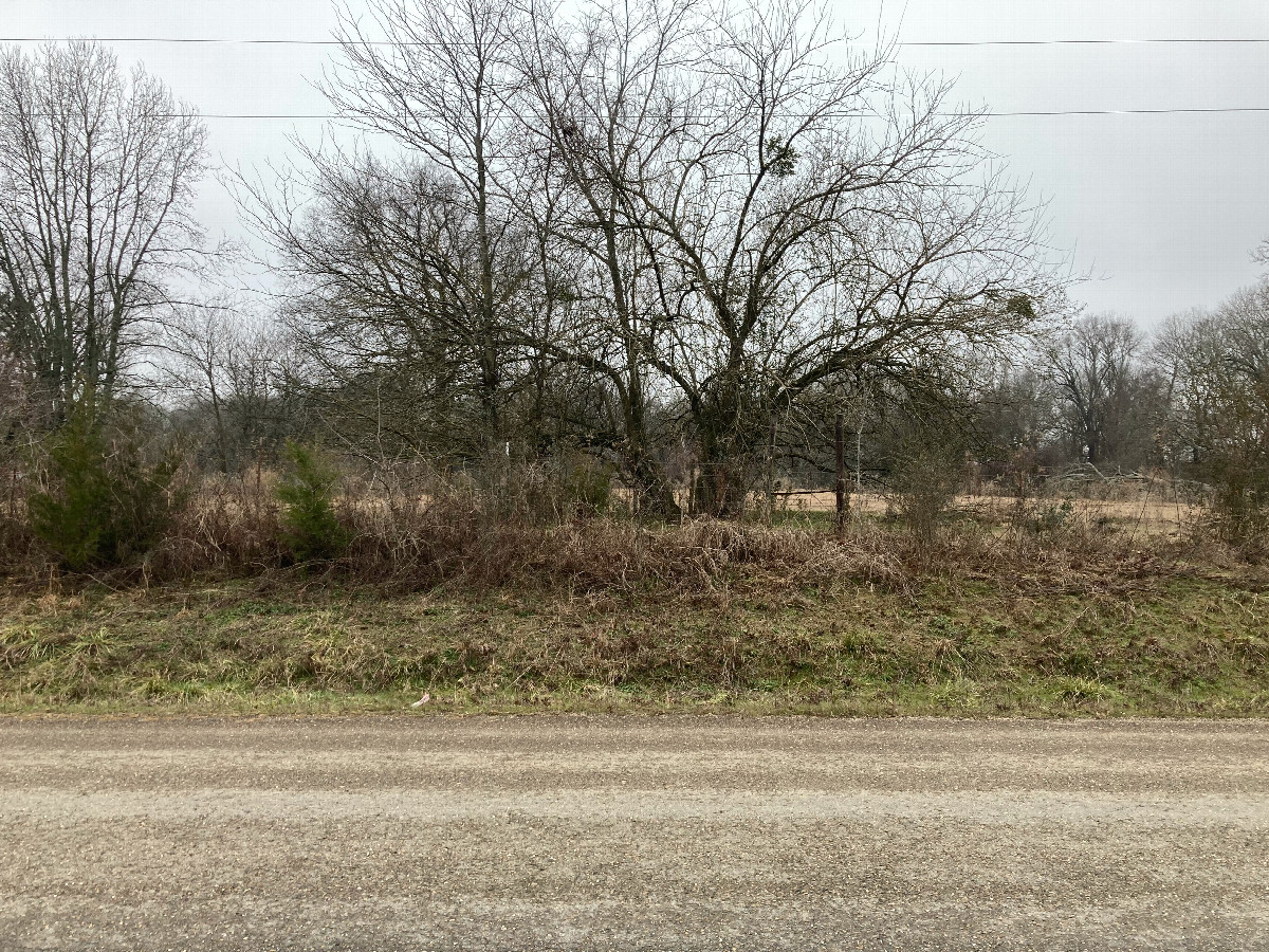 Looking west, across the road