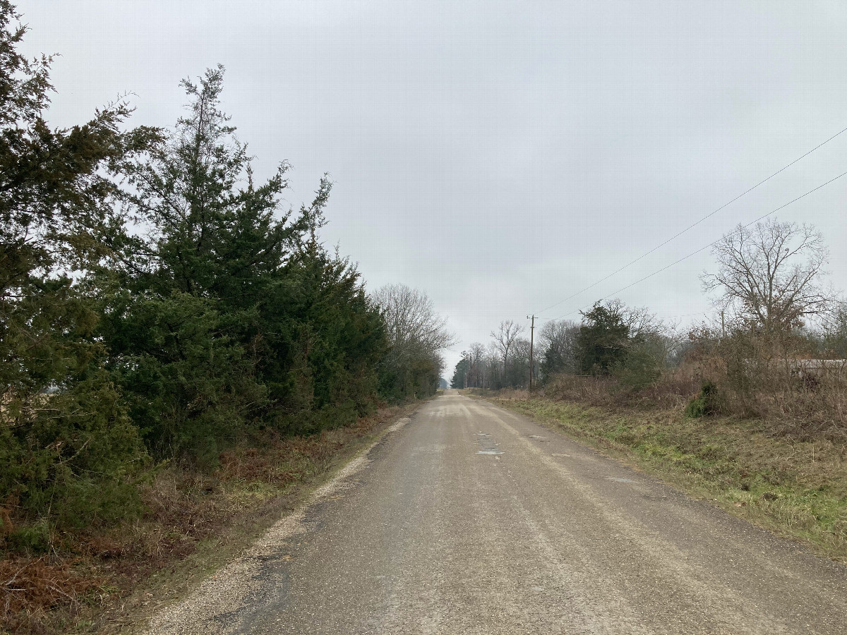 Looking south down the empty Hawks Roost Road