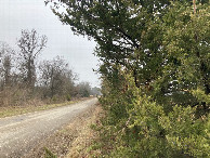 #2: Looking north from beside the fenceline, about 9 meters west of the point