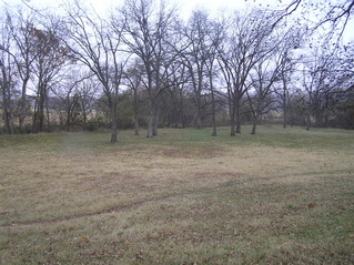 #1: Confluence of 34 North 96 West, in center of photograph in the grassy field, looking northeast.