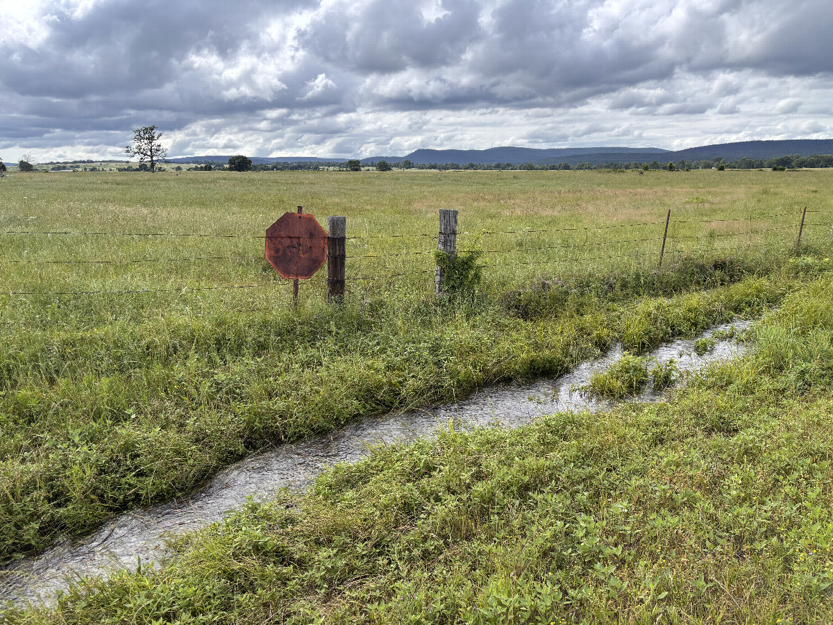 My shoes are going to get wet! View of the confluence in the mid distance, looking northwest. 
