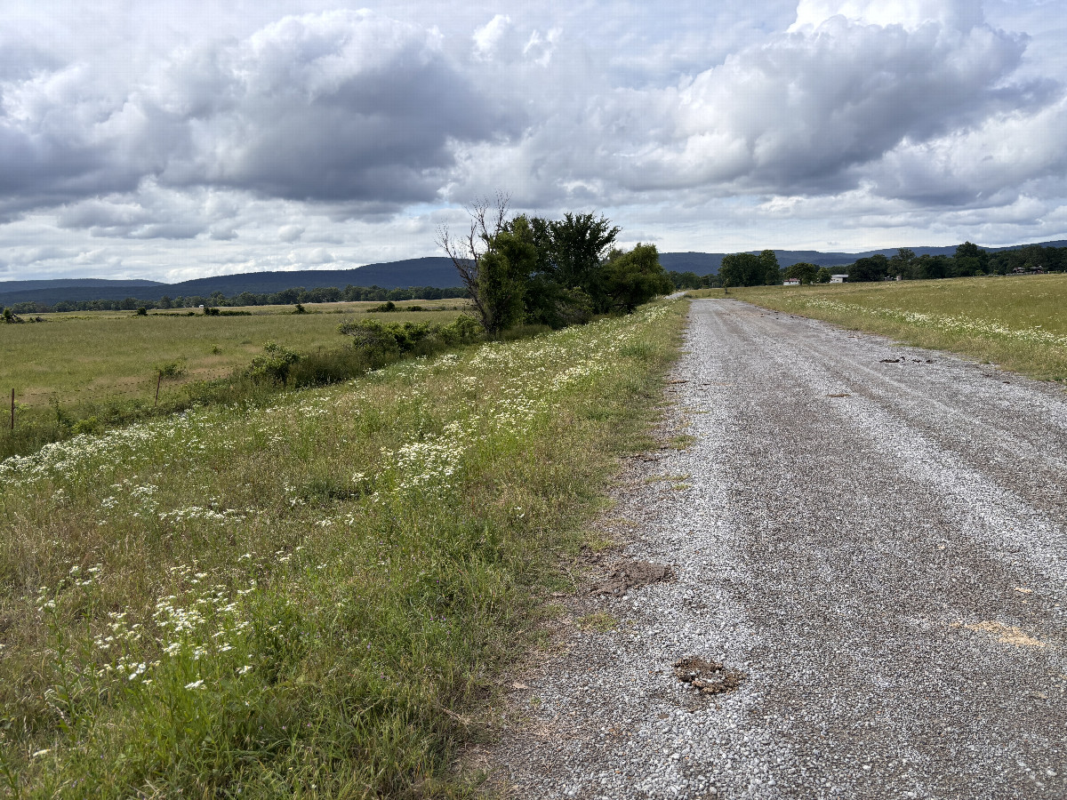 Closest Road to the confluence with the field off to the left. 