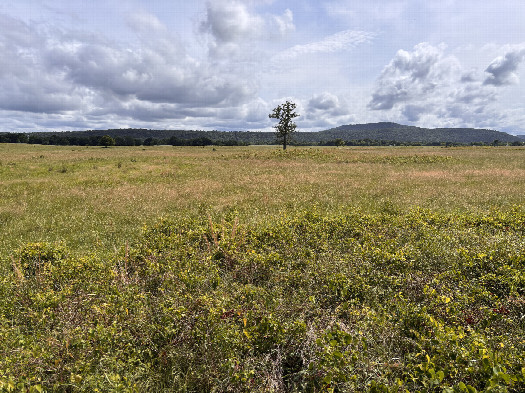 #1: View of the confluence in the foreground looking southwest. 