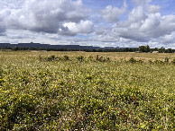 #2: View to the north from the confluence. 