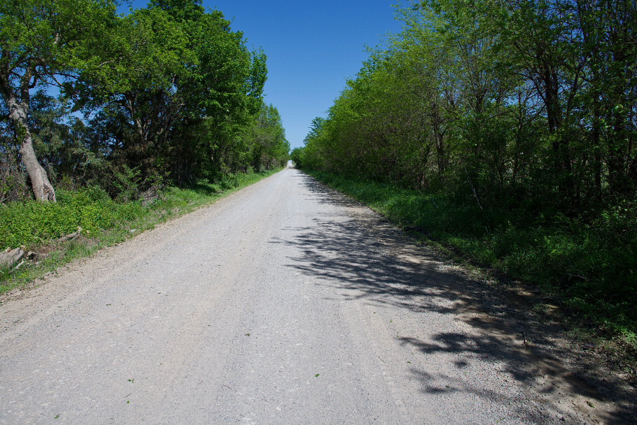 The confluence point lies directly on this gravel rural road.  (This is also a view to the East, along the road.)