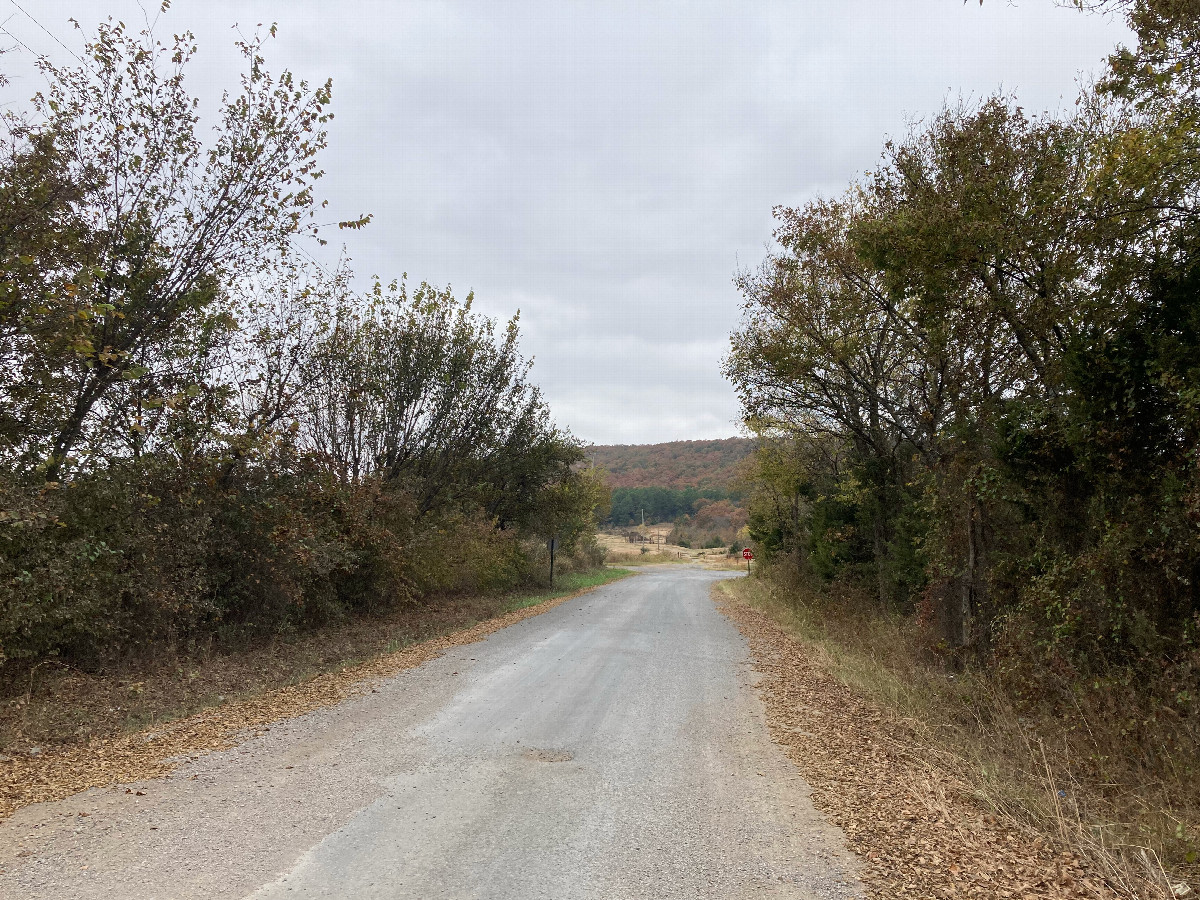 Looking west, toward the intersection (and forested hill)