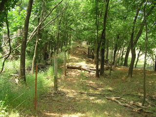 #1: Site of the confluence of 35 North 98 West, looking west.  The confluence lies in the middle of the picture, just to the right (north) of the fence.