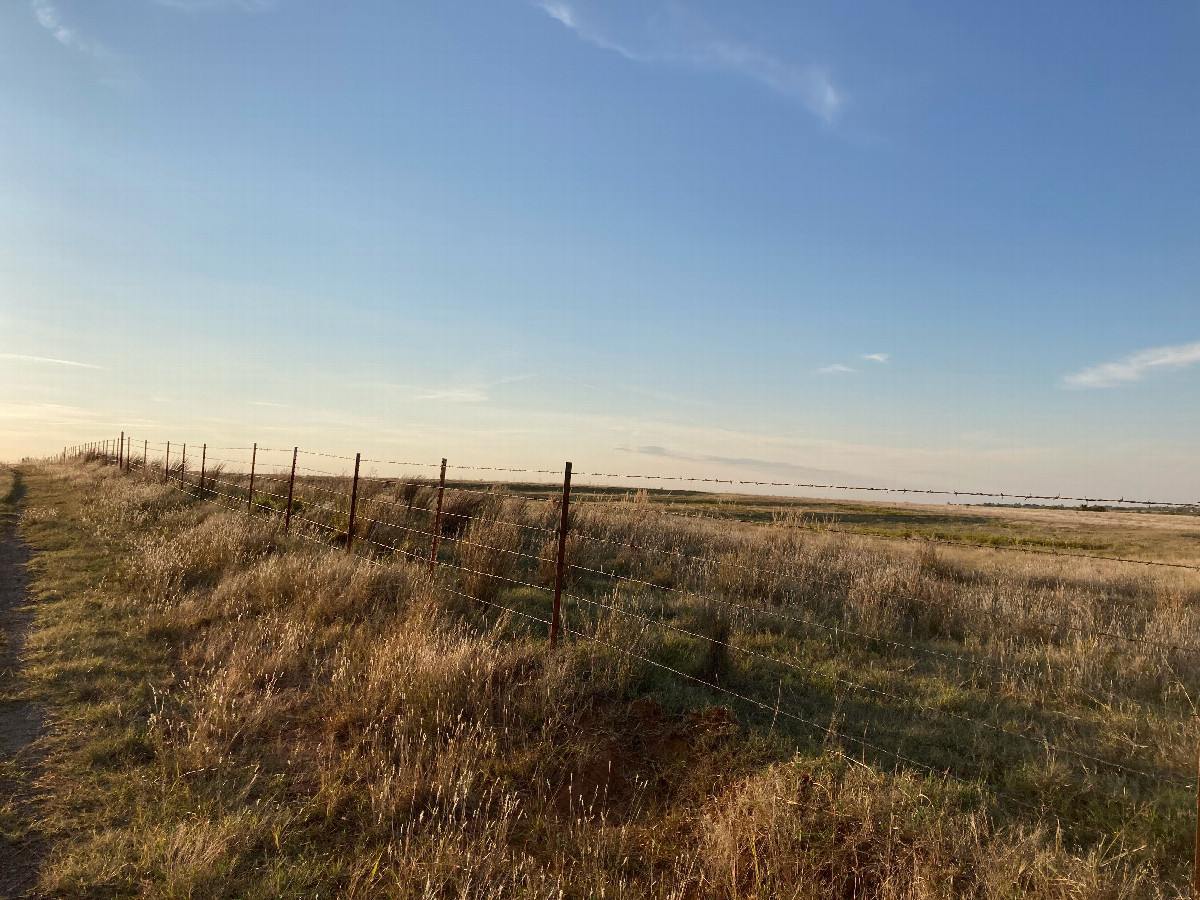 A view along our walk to the confluence