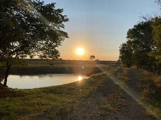 #1: The confluence's area; it lies on the track in the right of the photo