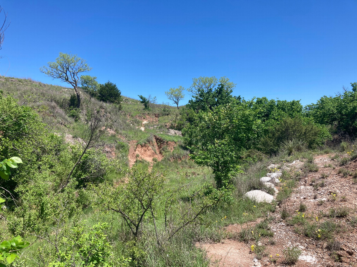 Looking north from the confluence