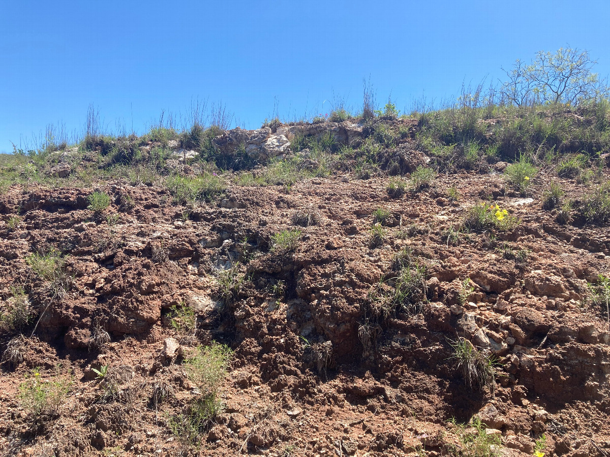 Looking east, up the gully's edge