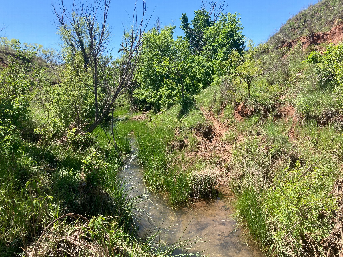 Coon Creek, just a few meters west of 35N 100W