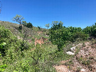 #2: Looking north from the confluence