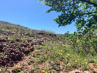 #4: Looking south