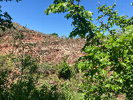 #5: Looking west, toward the creek