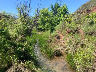 #9: Coon Creek, just a few meters west of 35N 100W