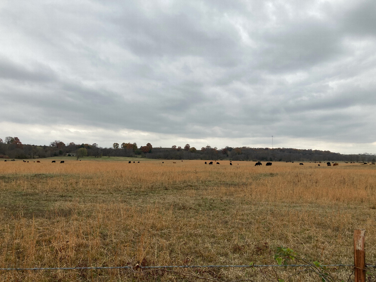 Looking south, directly toward the confluence