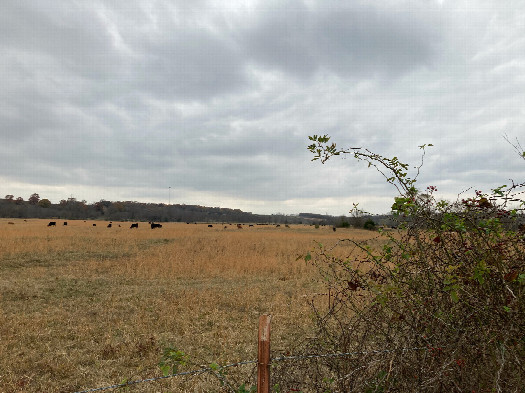 #1: The field containing 36N 95W, located on the far left of this photo