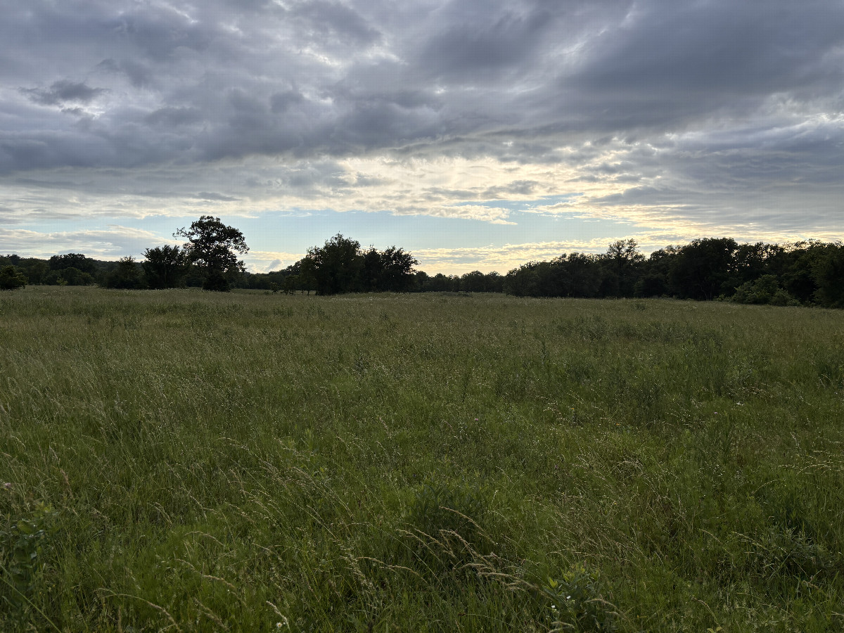 View to the west from the confluence. 