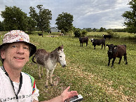 #9: The local animals. 