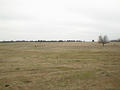 #9: Rural Oklahoma landscape