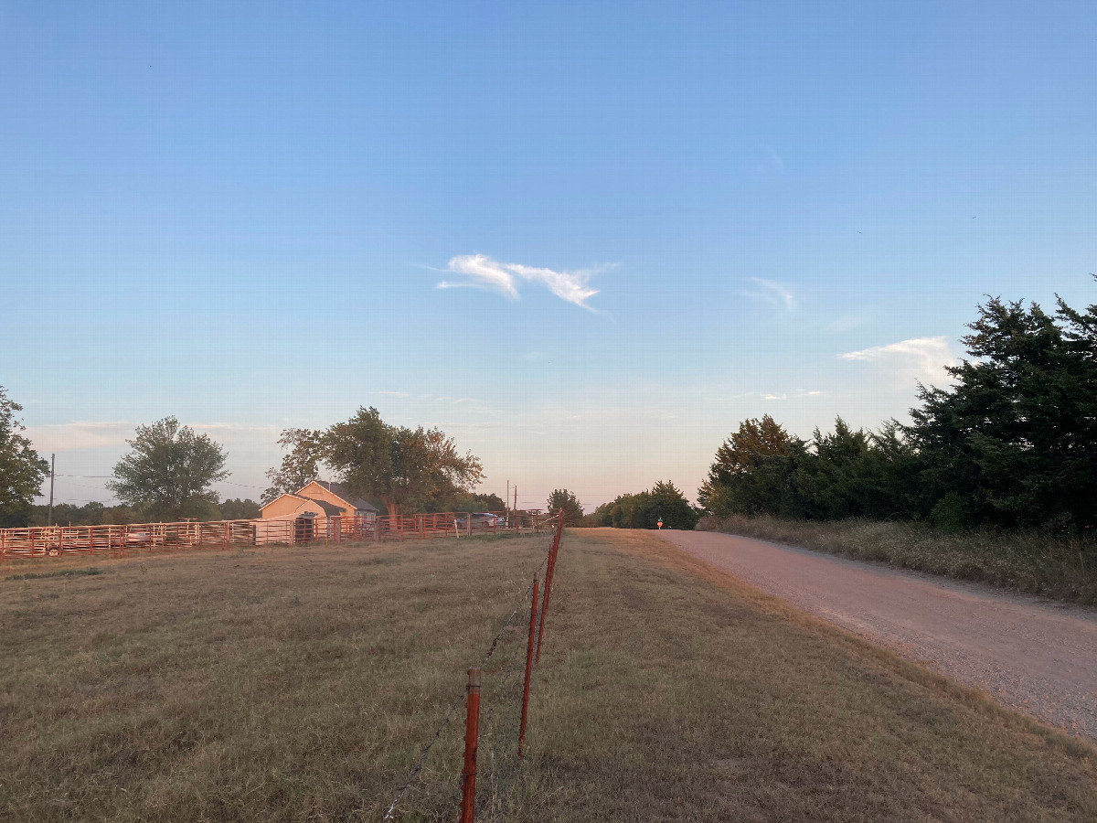 Looking east, at the nearby house