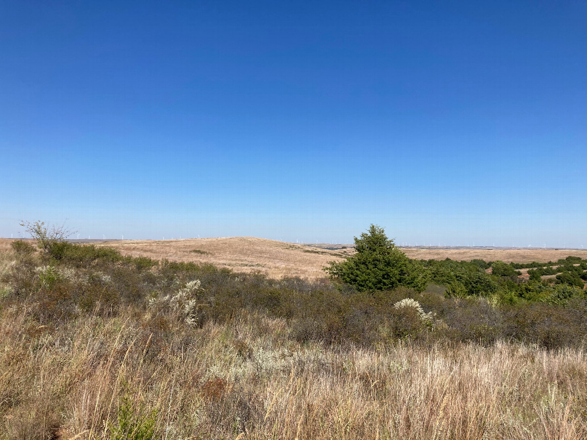 Looking north from the confluence