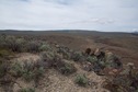 #3: View South (towards Nevada, 700 feet away, and Long Ridge beyond)