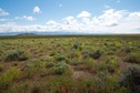 #2: View East (towards the snow-capped Pueblo Mountains)