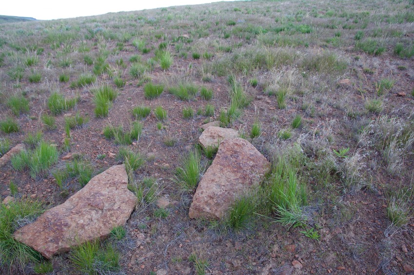 The confluence point lies on a rock-strewn hillside. Fortunately, these rocks appear to be natural; not a rock cairn