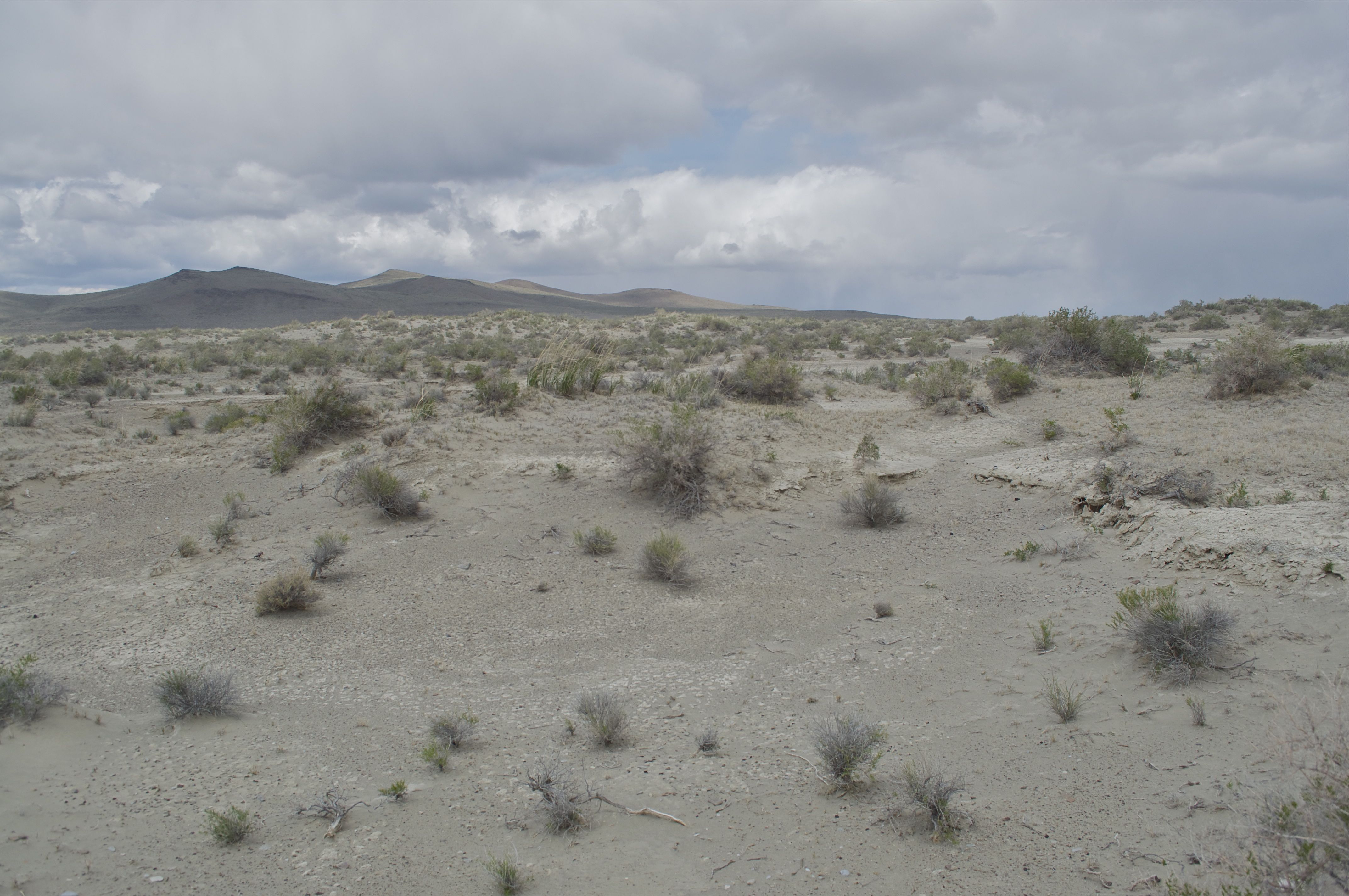 The confluence point lies amid sagebrush, on a dry lake bed. A rock cairn left by previous visitors marks the spot.