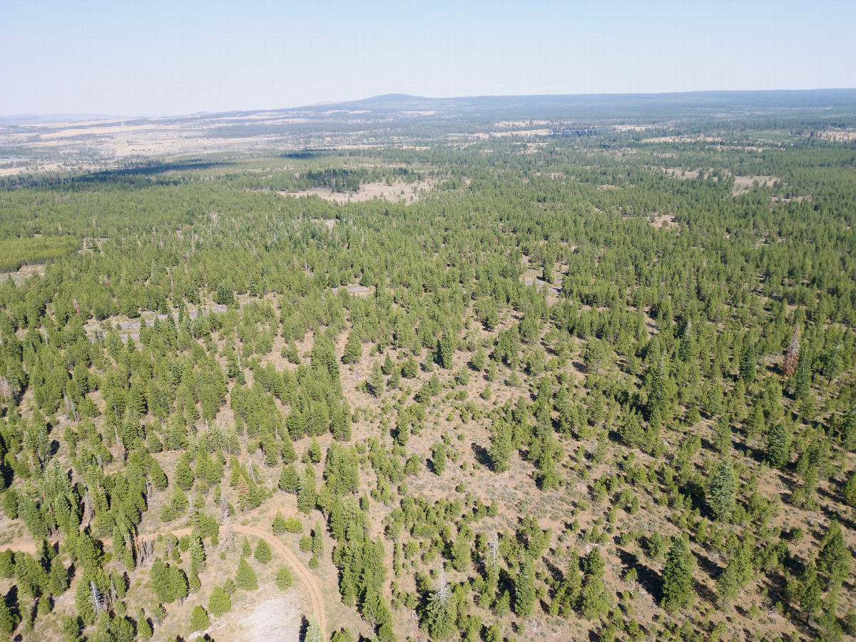 View East, from 120m above the point