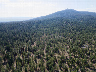 #11: View West (towards 7189’ Hager Mountain), from 120m above the point