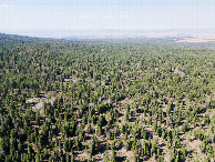 #8: View North, from 120m above the point