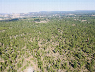 #9: View East, from 120m above the point